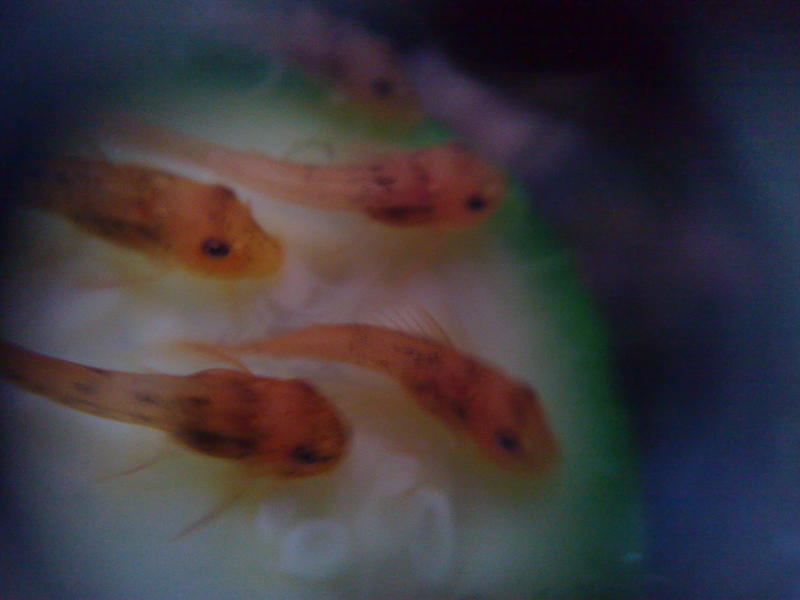 291220122637.jpg