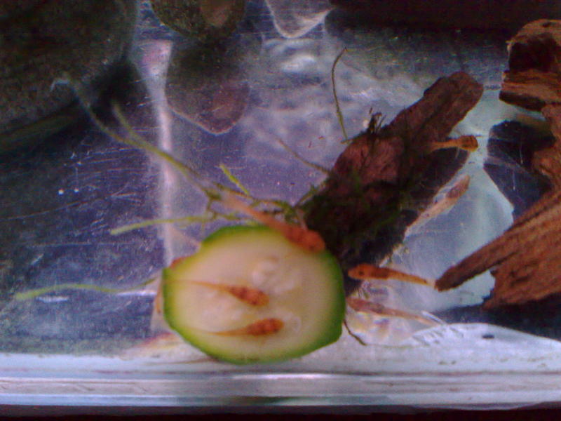 291220122643.jpg