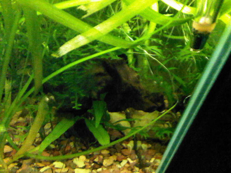 40l1.jpg