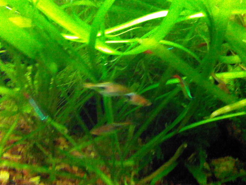 40l2.jpg