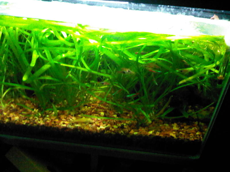 40l3.jpg