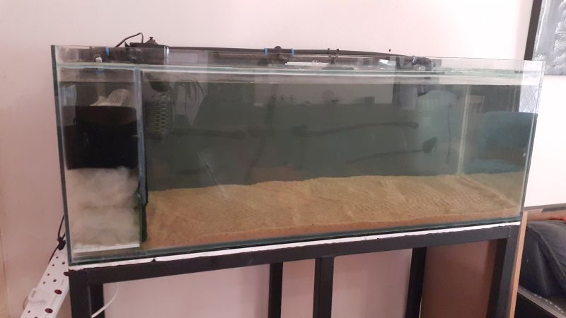 clear_tank.jpg
