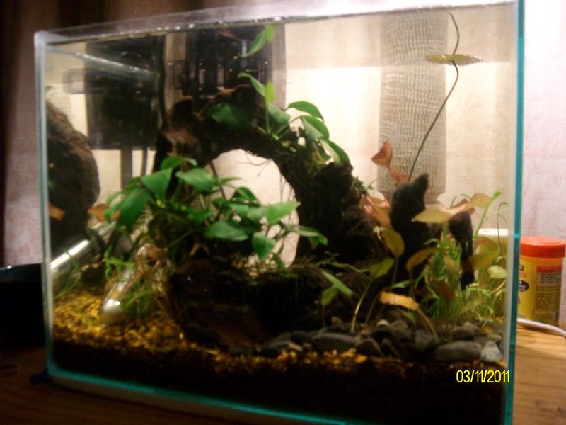 comp tank 043.jpg