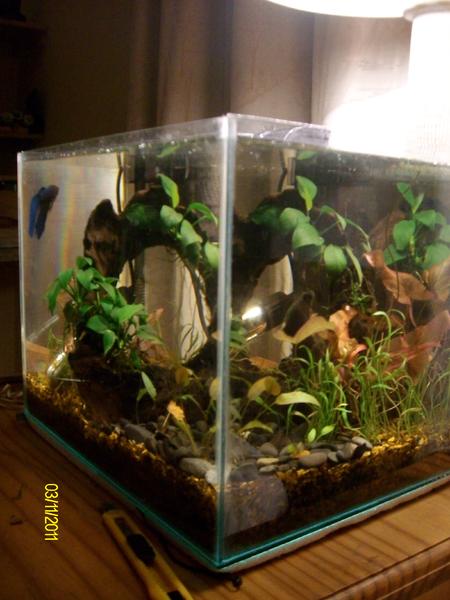 comp tank 045.jpg