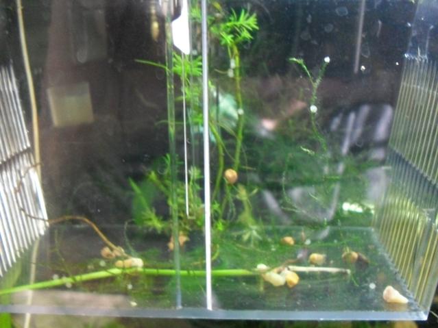 Cory Eggs.jpg