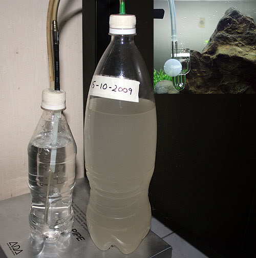 DIYCO2.jpg