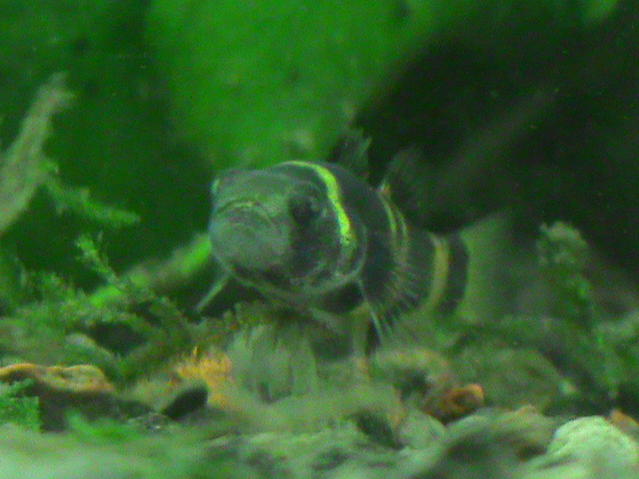DSC00010.jpg
