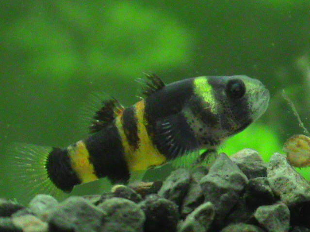 DSC00012.jpg