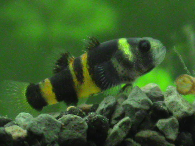 DSC00013.jpg