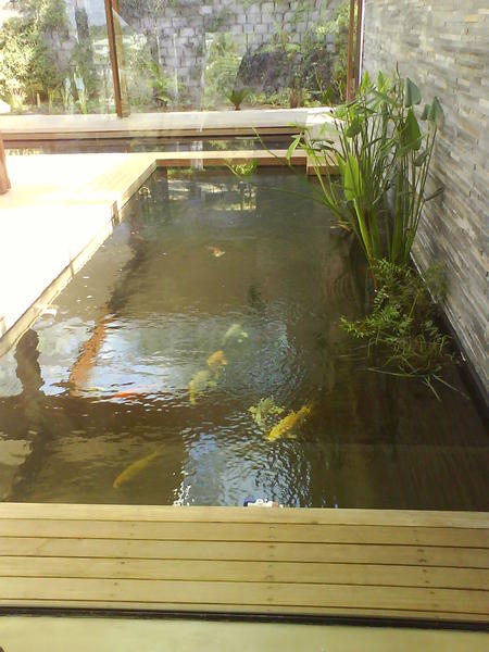 DSC00105.jpg