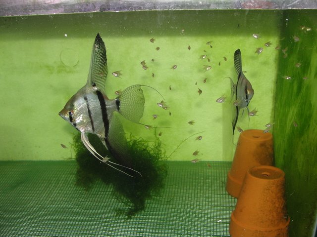 DSC01704.JPG