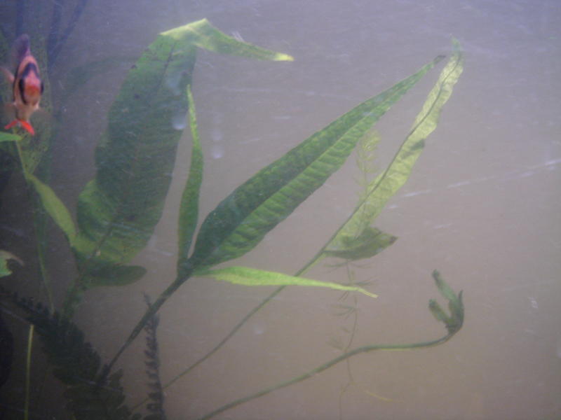 DSC04256.jpg