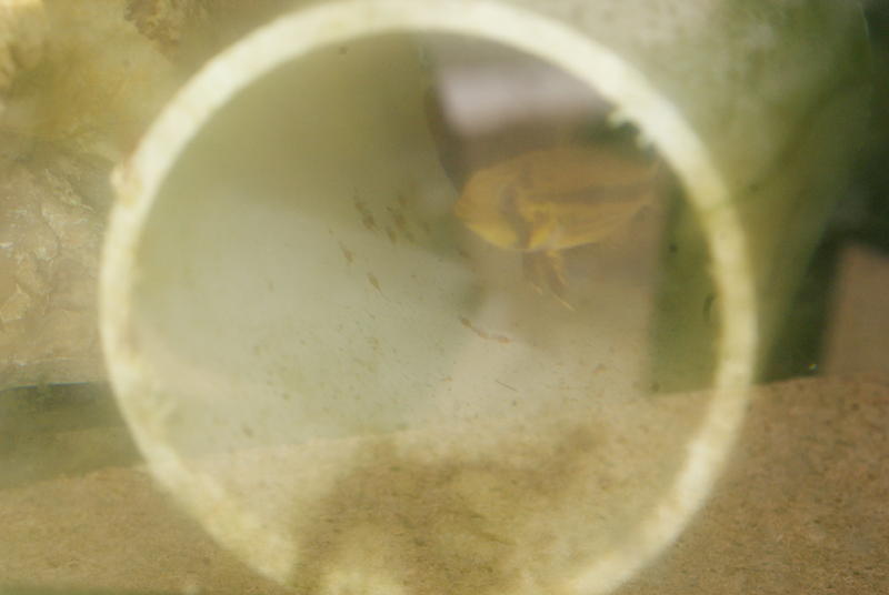 DSC05846.jpg