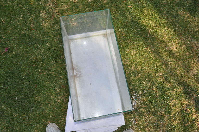 DSC_0004.jpg