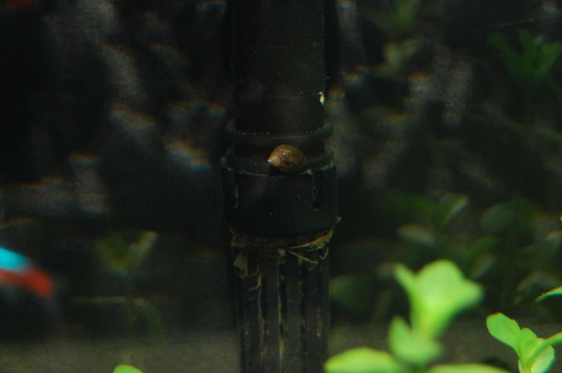 DSC_0010.jpg