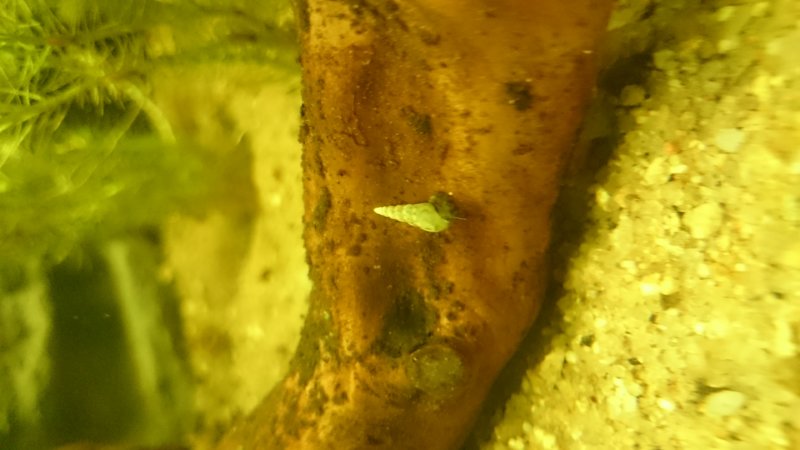 DSC_0036.JPG