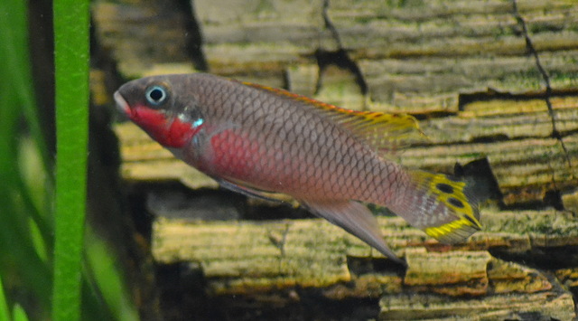 DSC_0097.JPG