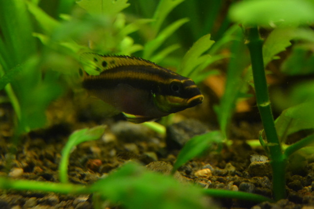 DSC_0139.JPG