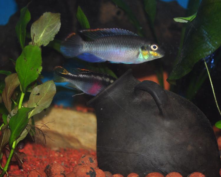 DSC_3506.jpg