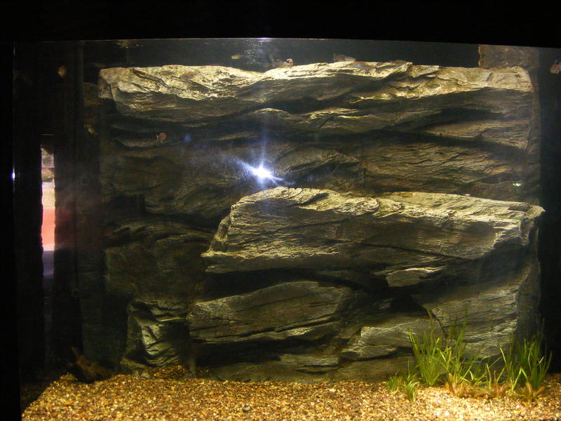 DSCF0060.jpg