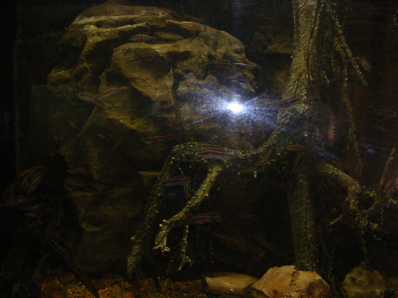 DSCF0062.jpg