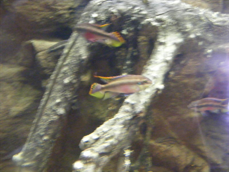 DSCF0064.jpg