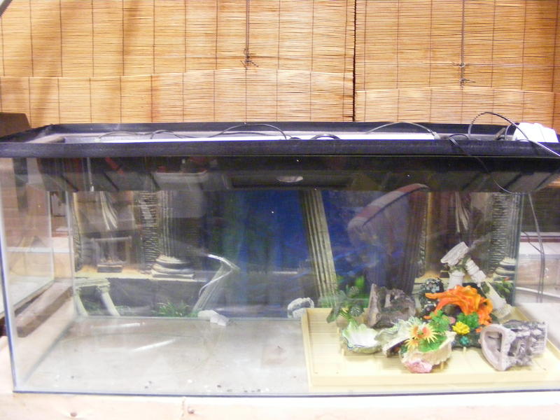 DSCF0178.jpg