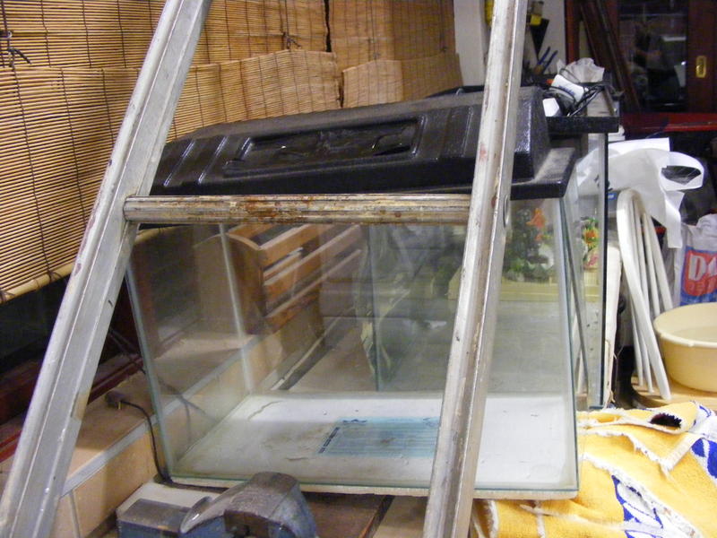 DSCF0179.jpg