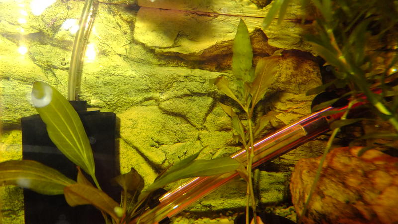 DSCF1738.jpg