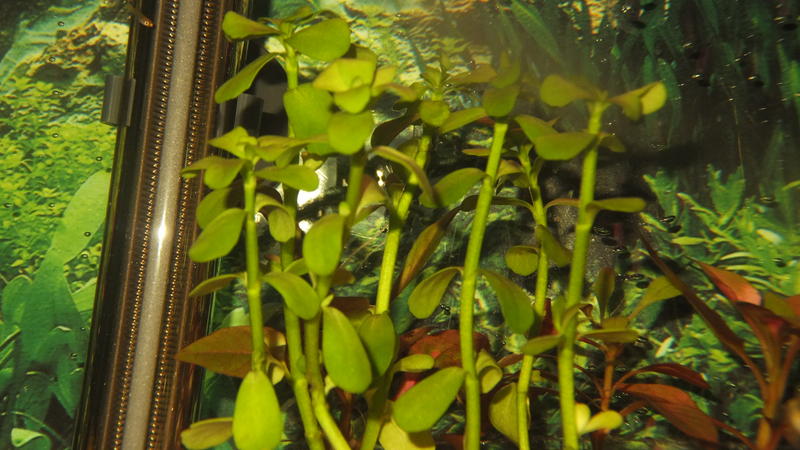 DSCF1753.jpg
