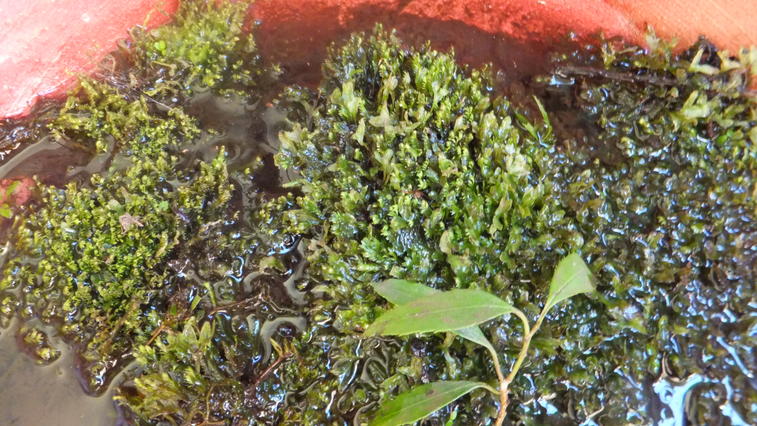 DSCF2635.jpg