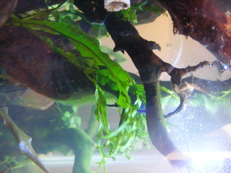 DSCF4045.jpg