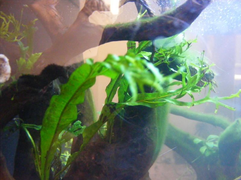 DSCF4046.jpg