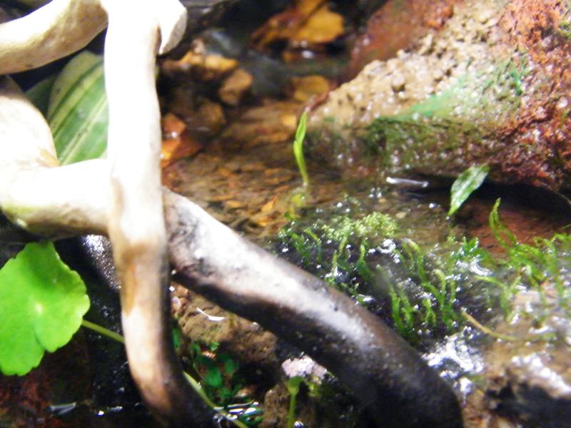 DSCF5242.jpg