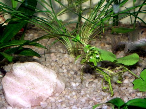 DSCF5868.JPG