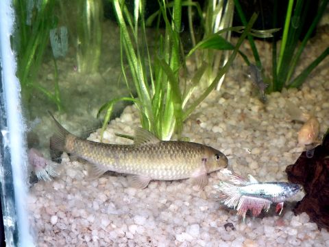 DSCF5869.JPG