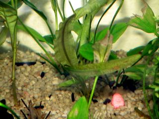 DSCF5973.JPG