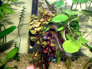 DSCF5975.JPG