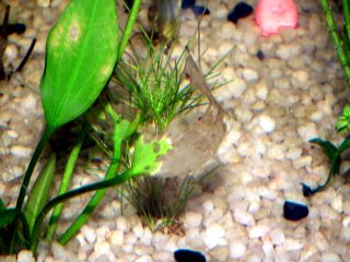 DSCF5978.JPG
