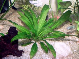 DSCF5980.JPG