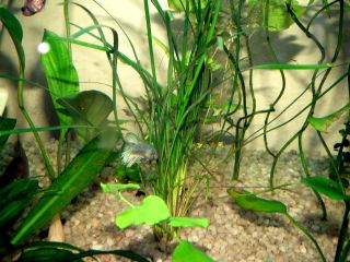 DSCF5981.JPG