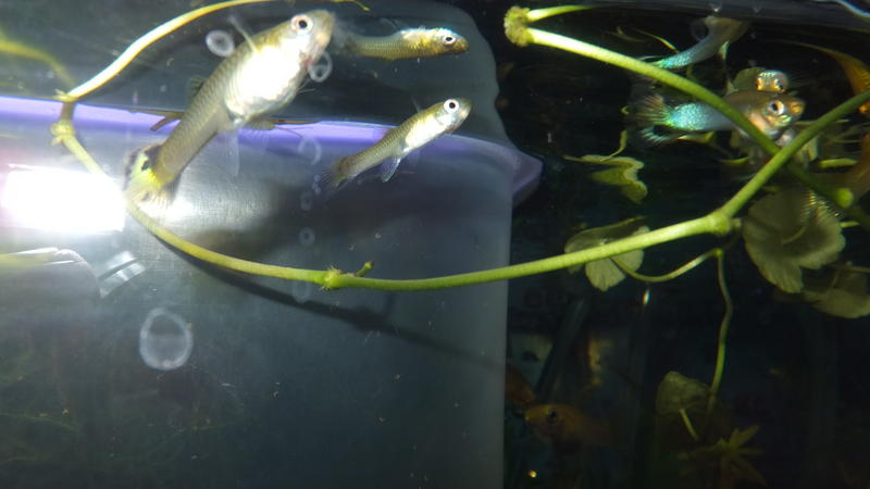DSCF6823.jpg