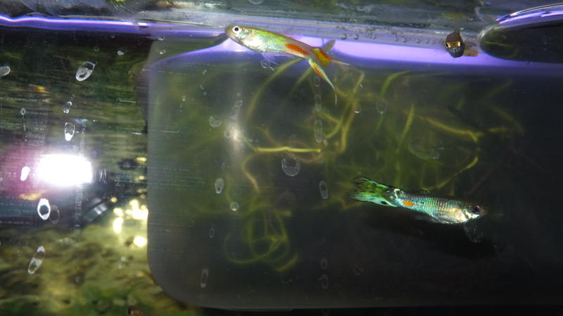 DSCF6858.jpg