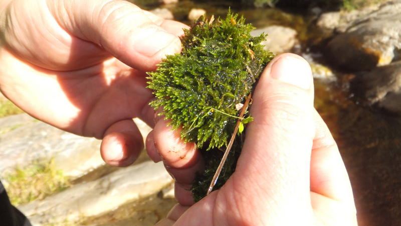 DSCF7282.jpg