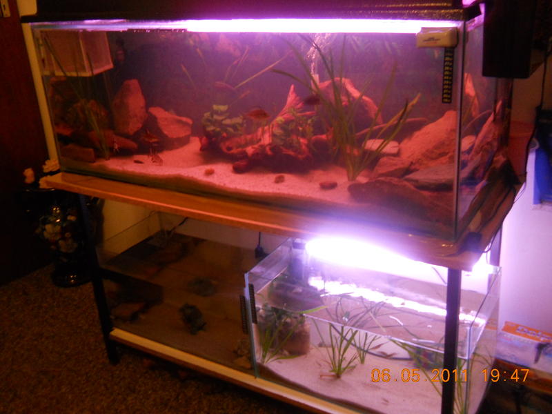 DSCN1263.jpg