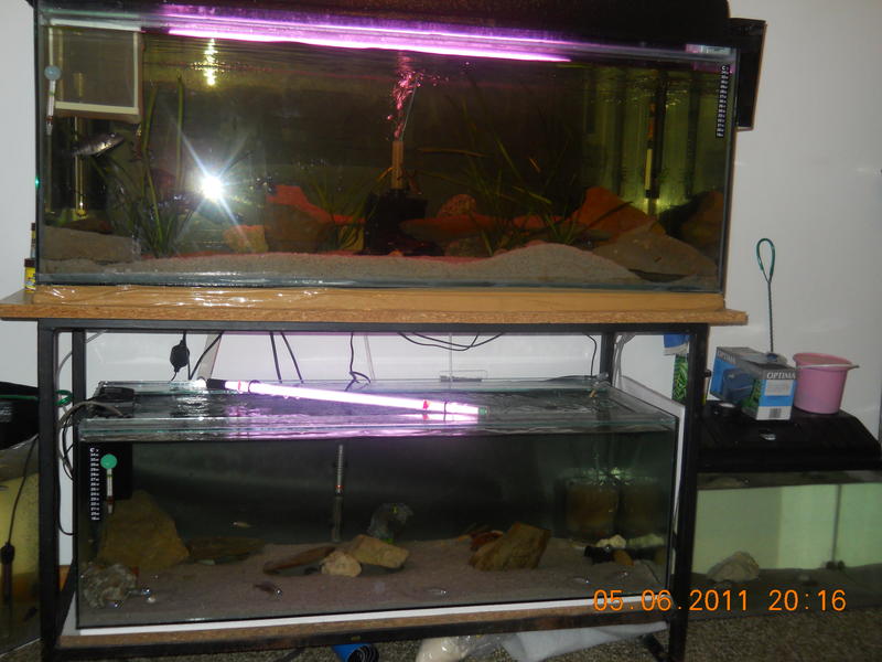 DSCN1355.jpg