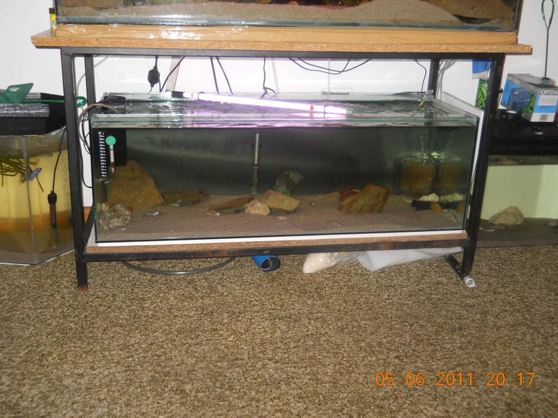 DSCN1356.jpg