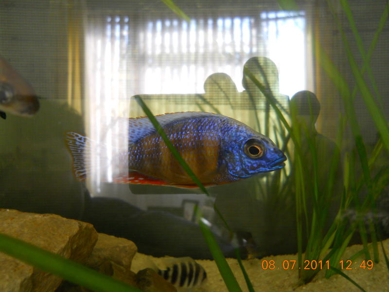 DSCN1387.jpg
