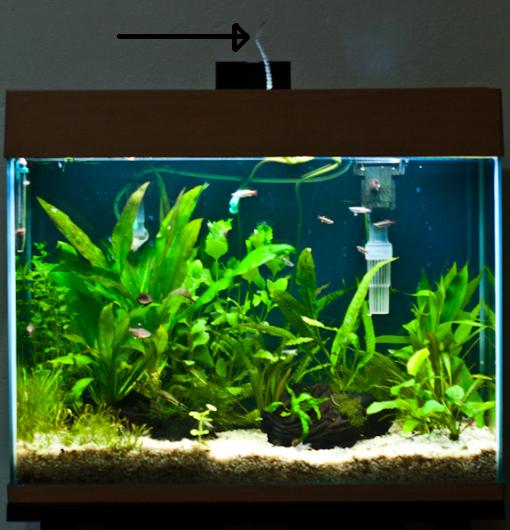 fts11-1080675.jpg