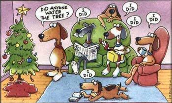 funny-dog-xmas-pics02.jpg